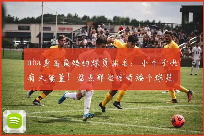 nba身高最矮的球员排名，小个子也有大能量！盘点那些传奇矮个球星