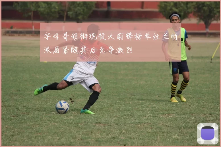 字母哥领衔现役大前锋榜单杜兰特浓眉紧随其后竞争激烈