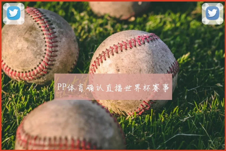 PP体育确认直播世界杯赛事