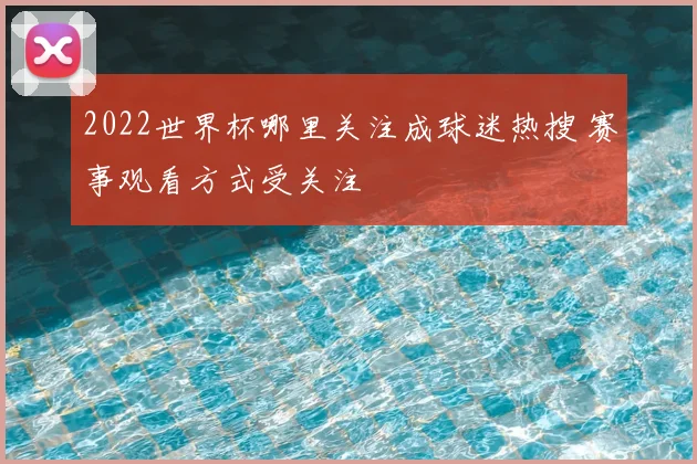 2022世界杯哪里关注成球迷热搜 赛事观看方式受关注