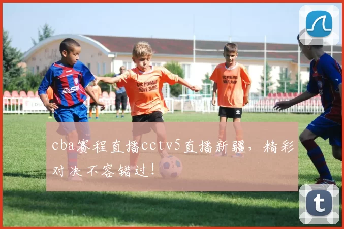 cba赛程直播cctv5直播新疆，精彩对决不容错过！