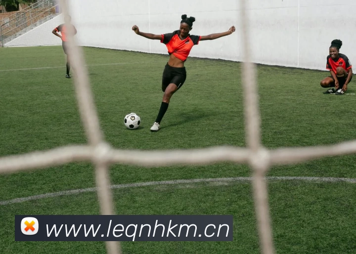 开云·kaiyun体育(中国大陆)官方网站 登录入口发展历程