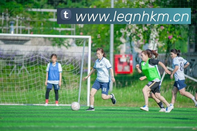 开云(Kaiyun) - 中国官方服务平台APP 封面图